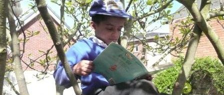 reading in a tree